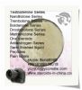 Trenbolone 10161-33-8 Most Powerful Anabolic Steroids